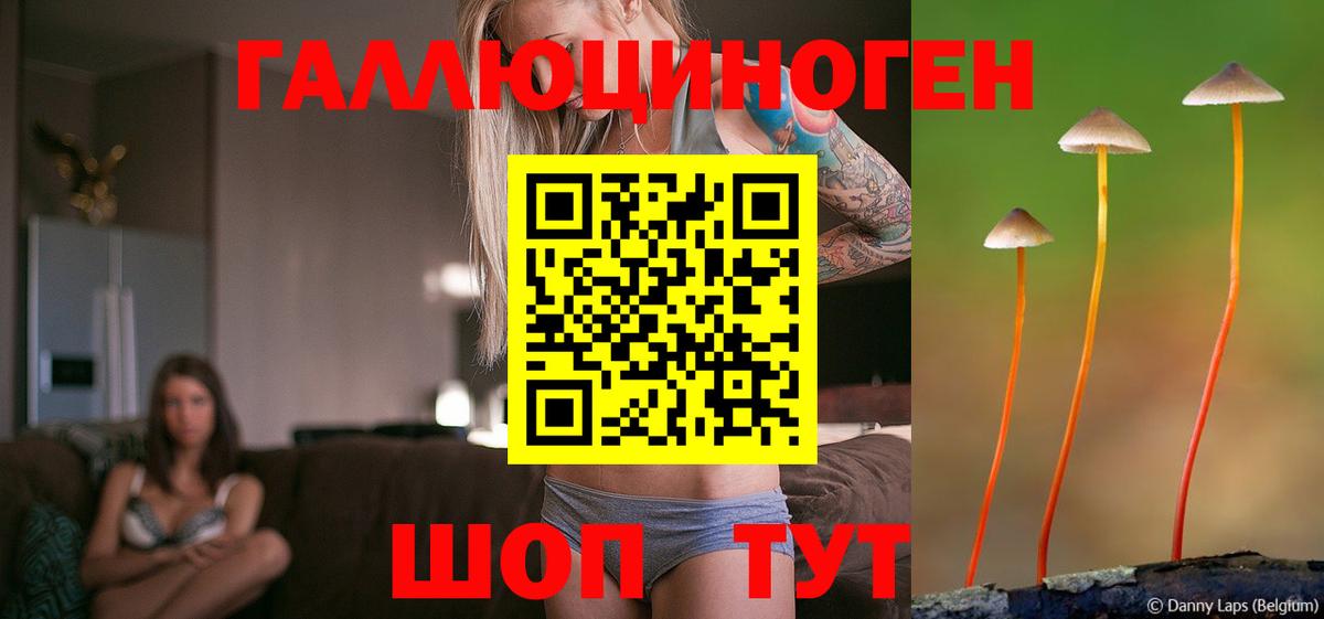 Галлюциногенные грибы прущие грибы  Галлюциногенные грибы мицелий  Вход с VPN  Обь 